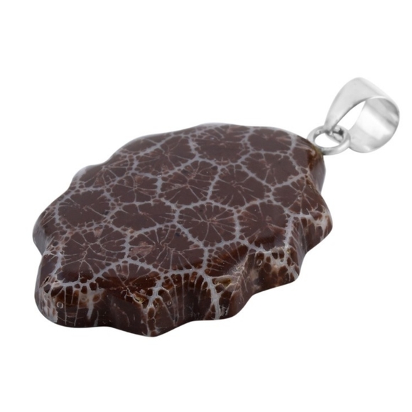 NEW Sponge Coral Brown Fancy Pendant in Sterling Silver - Picture 10 of 11